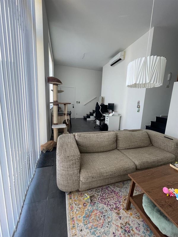 Foto 3 : Duplex te 3800 Sint-Truiden (België) - Prijs € 875