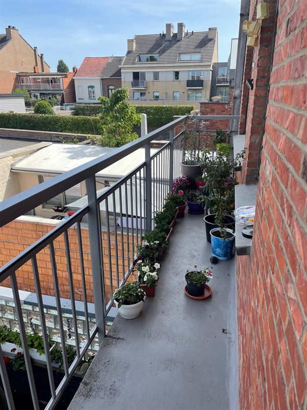 Foto 8 : Appartement te 3800 Sint-Truiden (België) - Prijs € 750