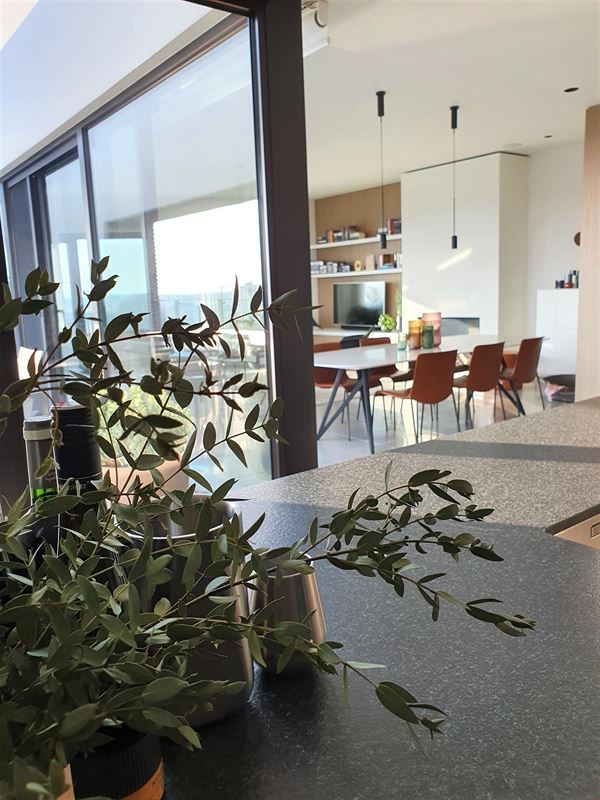 Foto 3 : Penthouse te 3800 SINT-TRUIDEN (België) - Prijs € 499.000